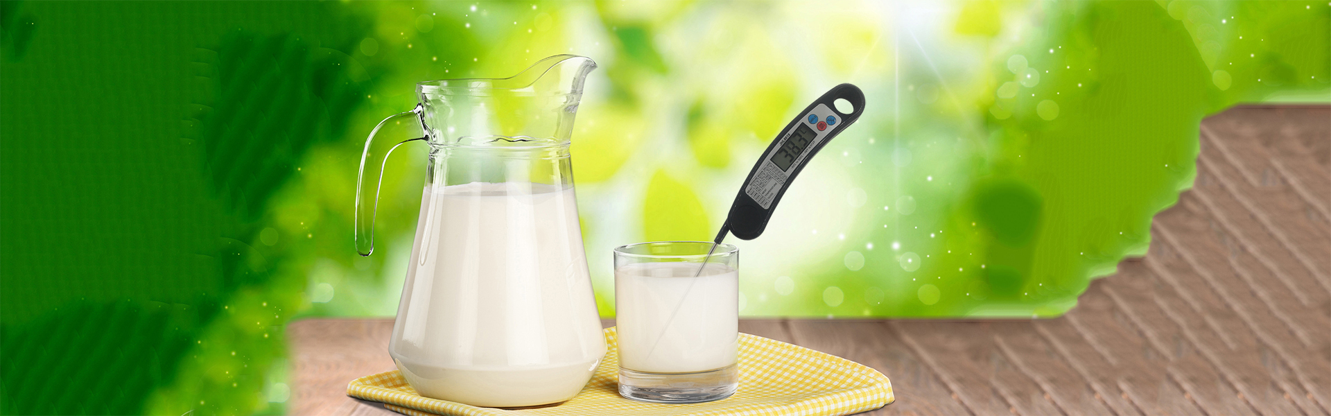 Food Thermometry